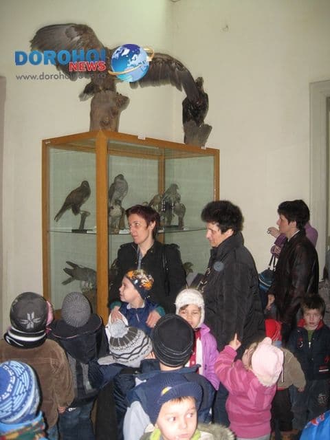 Gradinita cu program prelungit nr.10 Dorohoi_8