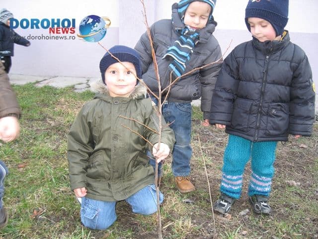 Gradinita cu program prelungit nr.10 Dorohoi_11