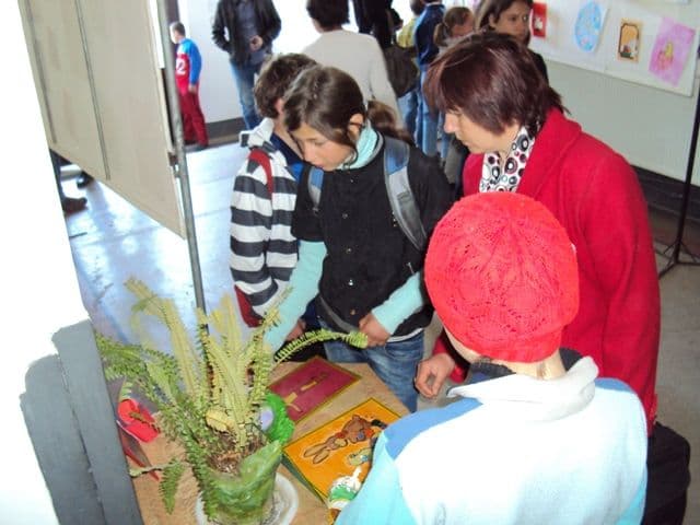 Dorohoi expozitie pascala (4)