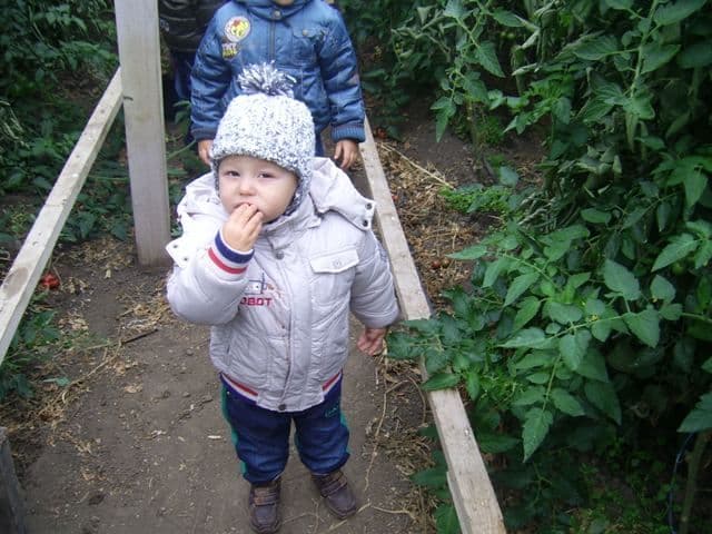 gradinita 10 Dorohoi (8)