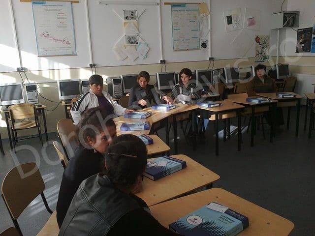 Proiect Scoala Stefan cel Mare Dorohoi_11