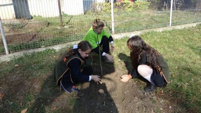 Eco-Scoala Spiru Haret_Dorohoi_3