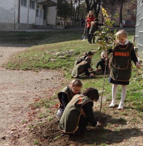 Eco-Scoala Spiru Haret_Dorohoi_7