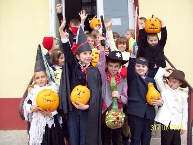 Scoala Dimitrie Romanescu Dorohoi (8)