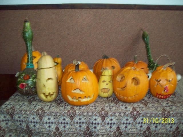 Scoala Dimitrie Romanescu Dorohoi (7)