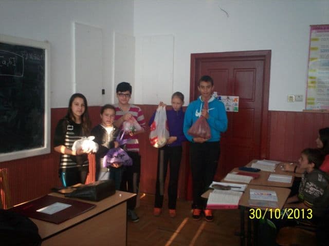 scoala A I Cuza Dorohoi (11)