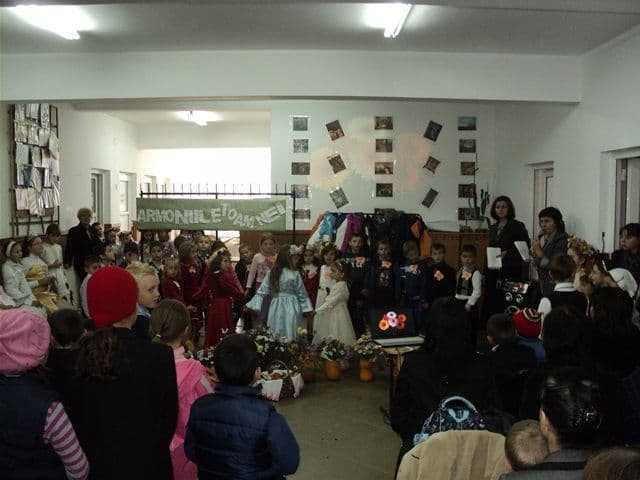 Scoala Dumbravita_01