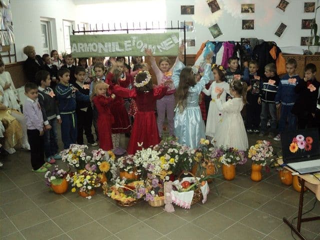 Scoala Dumbravita_04