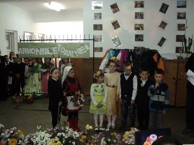 Scoala Dumbravita_06