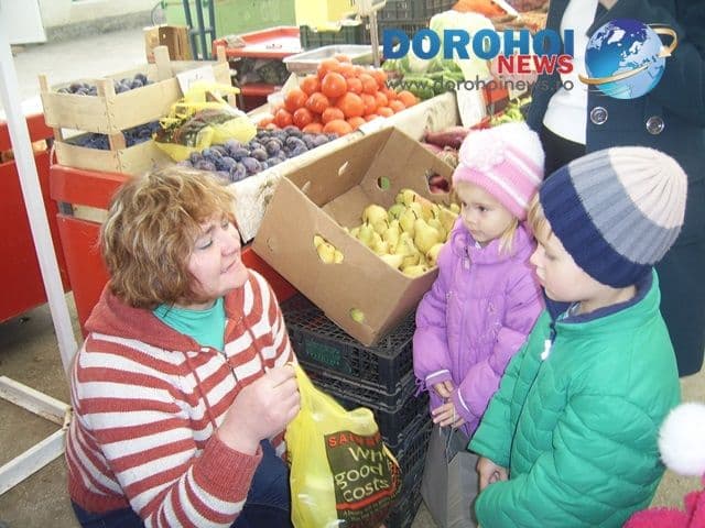 Gradinita nr.10 Dorohoi_01