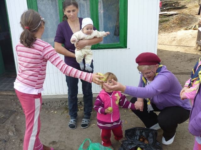 Saptamana legumelor si fructelor donate Saucenita_2