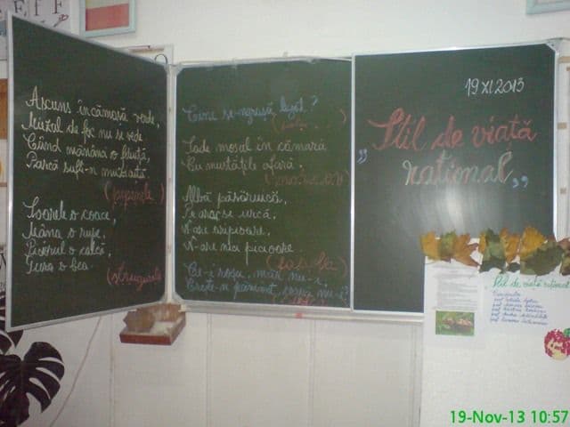 LTS Ion Pillat SEG_6