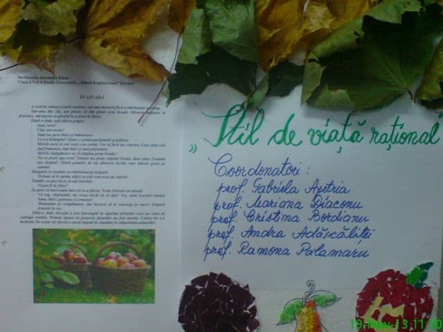 LTS Ion Pillat SEG_10