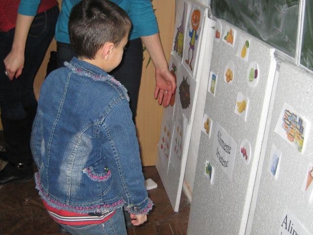 activitate Ion Pillat Dorohoi (2)