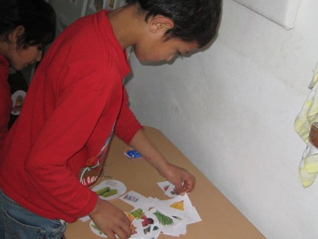 activitate Ion Pillat Dorohoi (3)