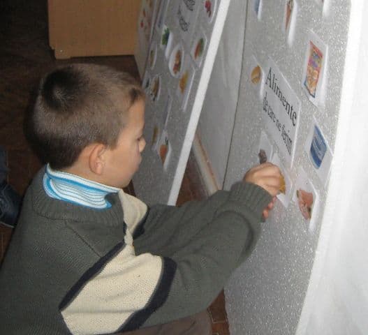 activitate Ion Pillat Dorohoi (4)