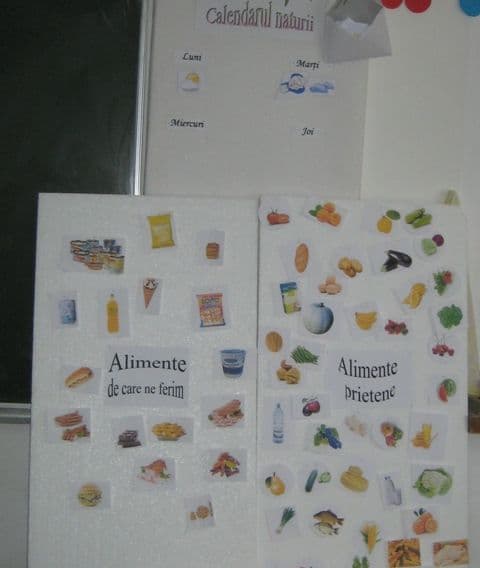 activitate Ion Pillat Dorohoi (7)