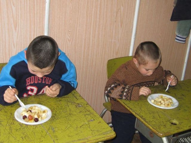 activitate Ion Pillat Dorohoi (8)