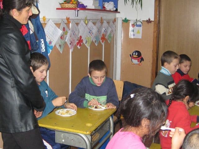 activitate Ion Pillat Dorohoi (9)
