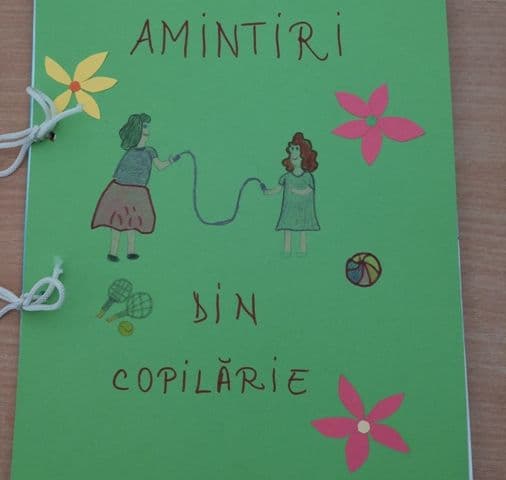 Scoala Gimnaziala Dimitrie Romanescu Dorohoi (12)
