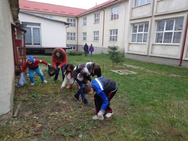 Scoala A I Cuza Dorohoi01