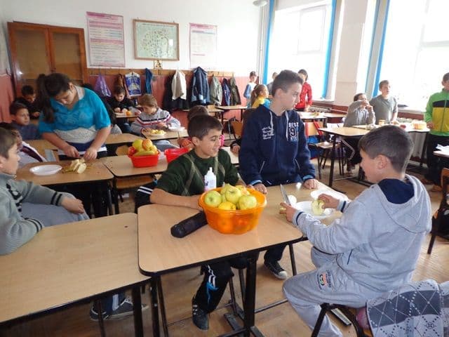 Scoala A I Cuza Dorohoi10
