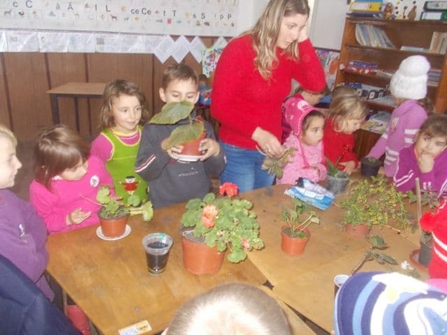 Scoala Hiliseu Horia (3)