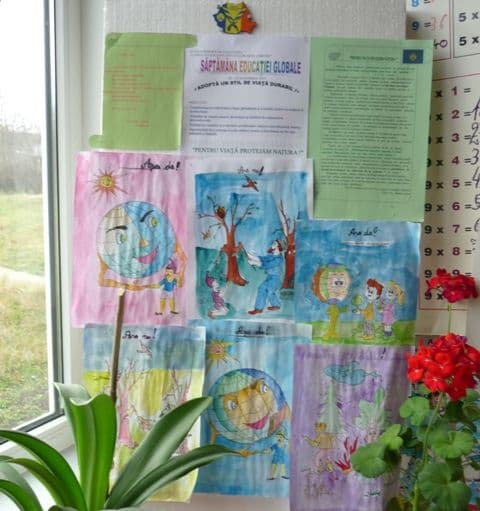 Scoala Saucenita (4)