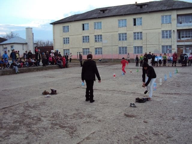 Liceul Tehnologic Special Ion Pillat Dorohoi (3)
