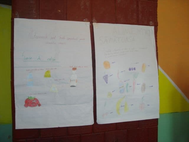 Scoala Virfu Campului (12)