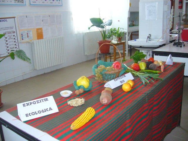 Liceul Al. Vlahuta Sendriceni (3)
