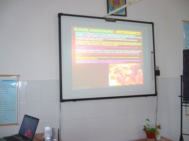Liceul Al. Vlahuta Sendriceni (4)