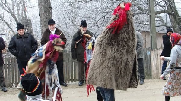 Liceul Tehnologic Al. Vlahuță Șendricen (2)