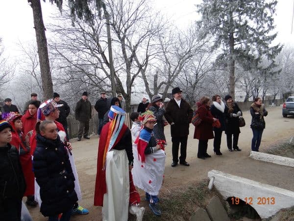 Liceul Tehnologic Al. Vlahuță Șendricen (3)