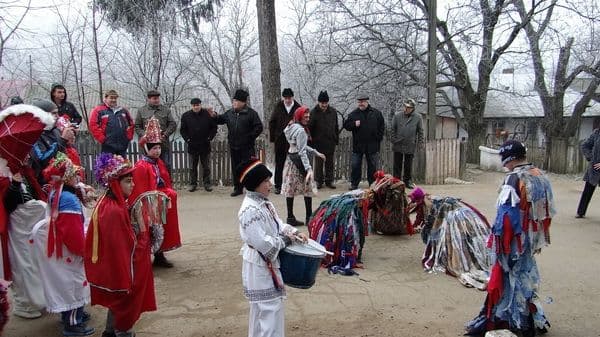 Liceul Tehnologic Al. Vlahuță Șendricen (6)