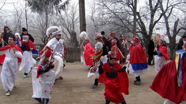 Liceul Tehnologic Al. Vlahuță Șendricen (11)