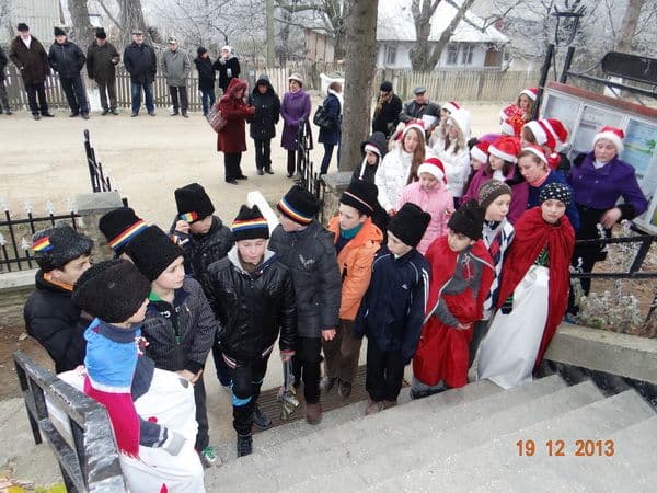 Liceul Tehnologic Al. Vlahuță Șendricen (10)