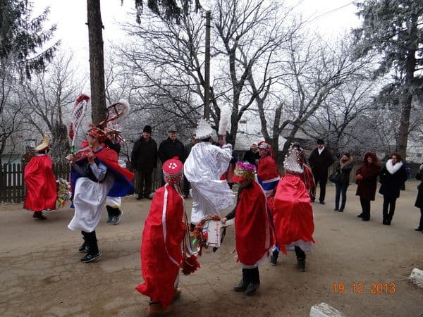 Liceul Tehnologic Al. Vlahuță Șendricen (12)
