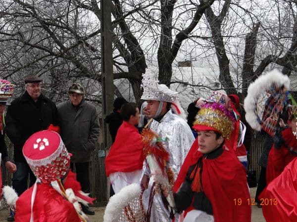 Liceul Tehnologic Al. Vlahuță Șendricen (14)