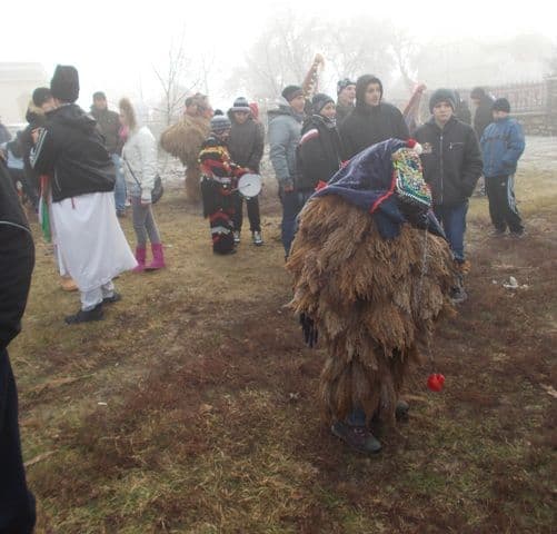 Corlateni (5)