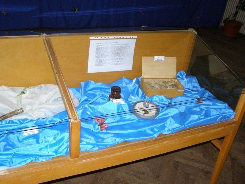 Dorohoi expozitie de fluturi (6)