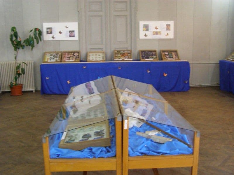 Dorohoi expozitie de fluturi (7)