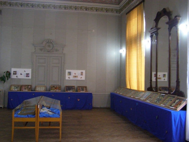 Dorohoi expozitie de fluturi (8)