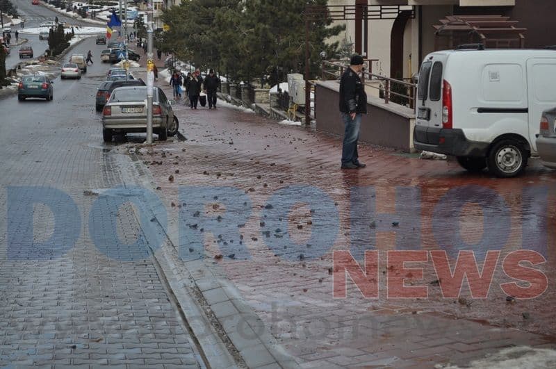 Avarie apa_Bulevardul Victoriei Dorohoi_03