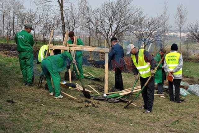 Actiune de plantare 20.04.2013 Dorohoi (2)