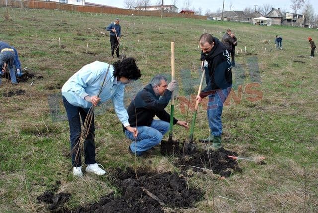 Actiune de plantare 20.04.2013 Dorohoi (4)
