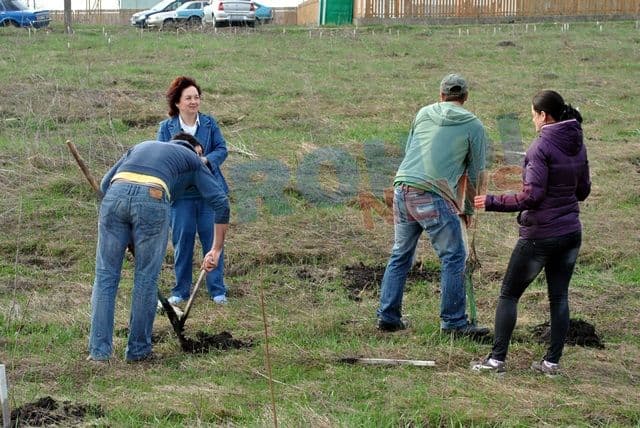 Actiune de plantare 20.04.2013 Dorohoi (5)