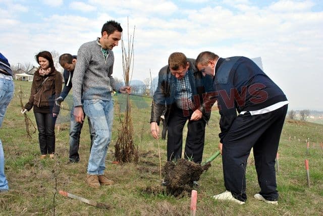 Actiune de plantare 20.04.2013 Dorohoi (6)