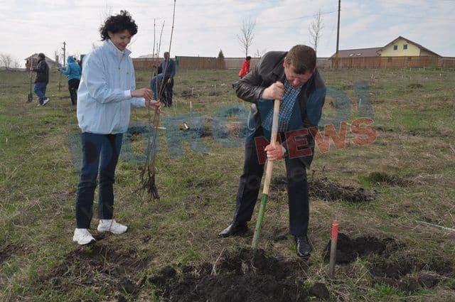 Actiune de plantare 20.04.2013 Dorohoi (9)