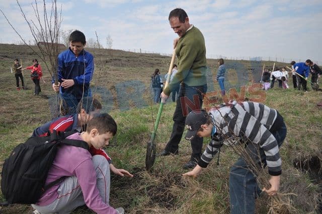 Actiune de plantare 20.04.2013 Dorohoi (12)